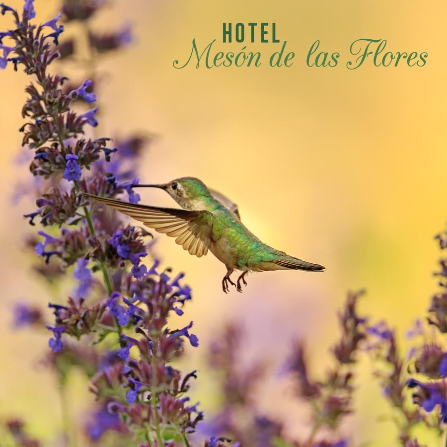 Hotel Meson De Las Flores Armenia  Esterno foto