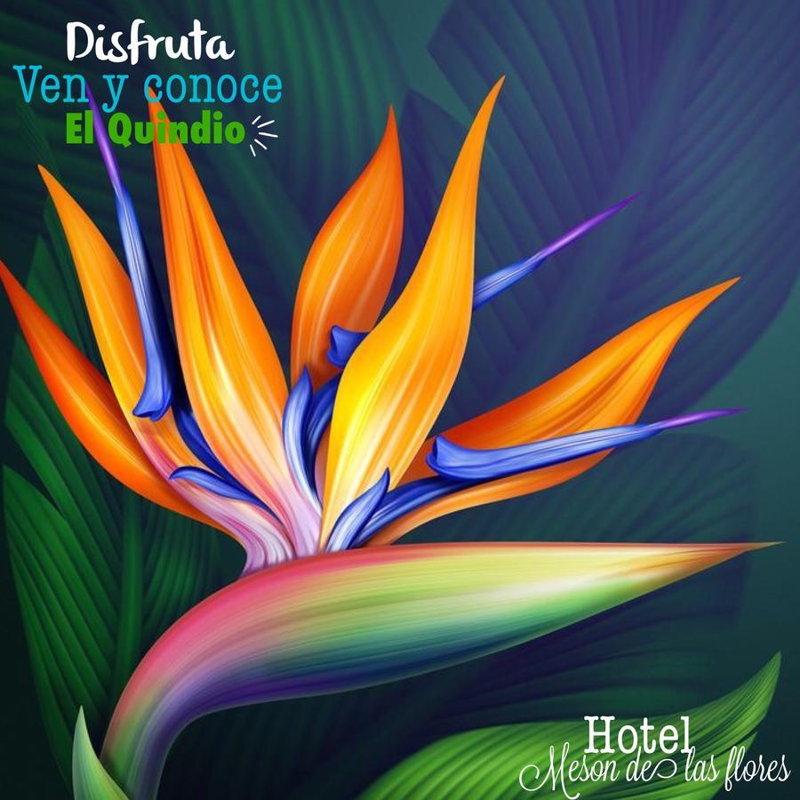 Hotel Meson De Las Flores Armenia  Esterno foto